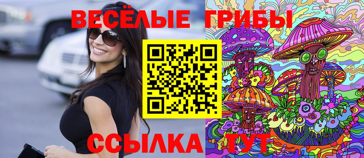 Галлюциногенные грибы GOLDEN TEACHER Тара