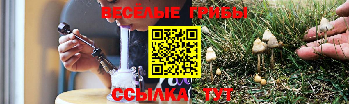 Тара  Галлюциногенные грибы прущие грибы  Вход с VPN 
